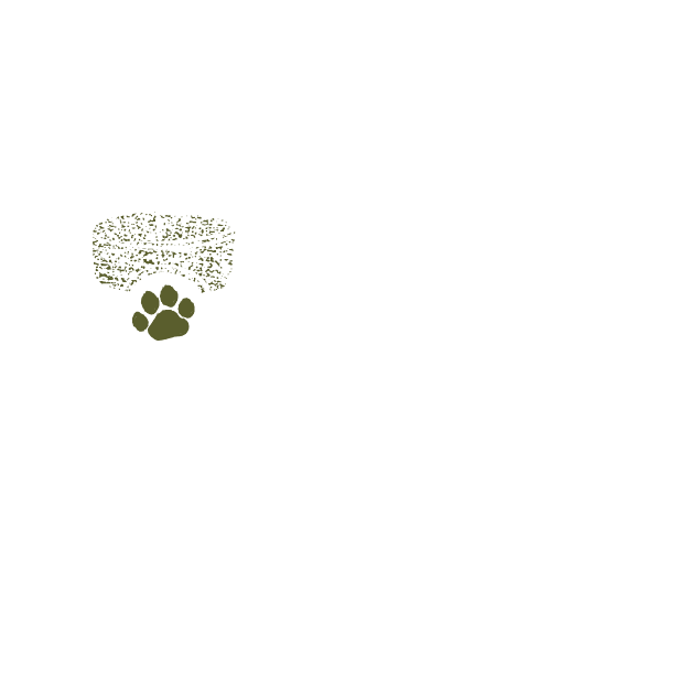 White Ales for Tales logo